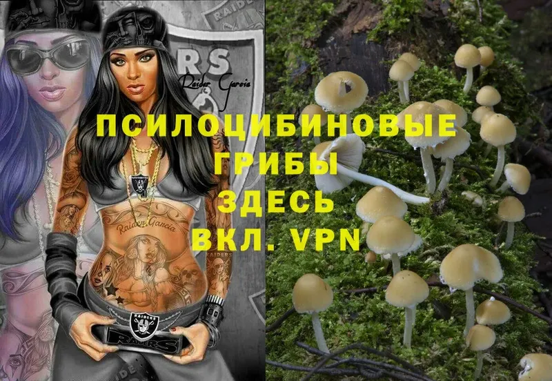 Галлюциногенные грибы Psilocybine cubensis  нарко площадка Telegram  Аркадак 